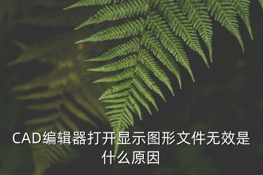 CAD編輯器打開顯示圖形文件無效是什么原因