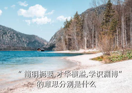 簡明扼要的意思,簡明扼要:說和寫能抓住要點就是簡單明了