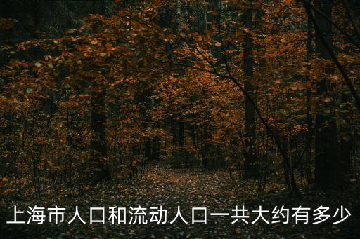 上海市人口和流動人口一共大約有多少