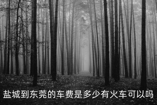 鹽城到東莞的車費是多少有火車可以嗎