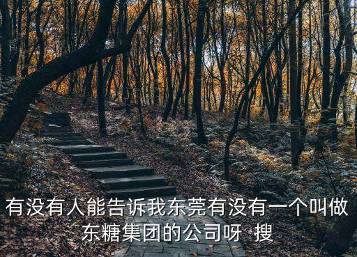 有沒有人能告訴我東莞有沒有一個叫做東糖集團的公司呀  搜
