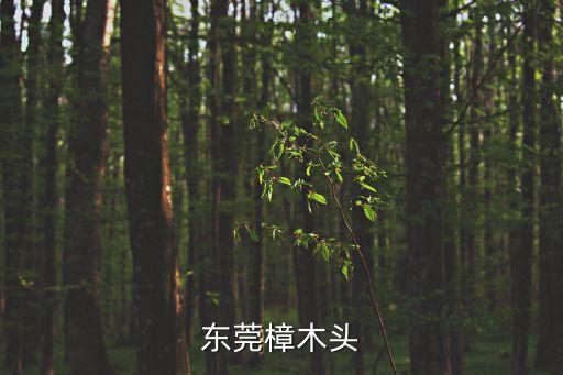 東莞樟木頭