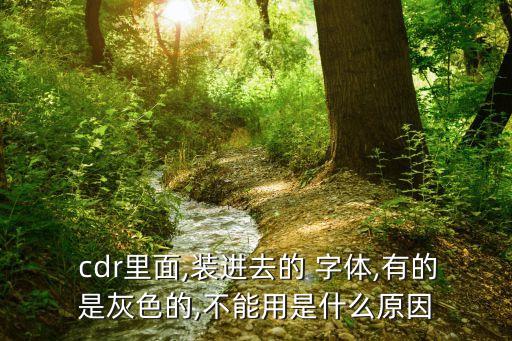  cdr里面,裝進(jìn)去的 字體,有的是灰色的,不能用是什么原因