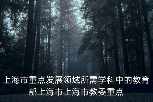 上海市重點發展領域所需學科中的教育部上海市上海市教委重點