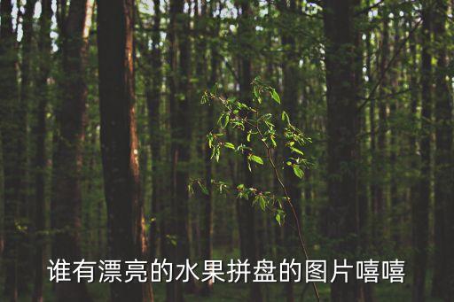 誰(shuí)有漂亮的水果拼盤的圖片嘻嘻