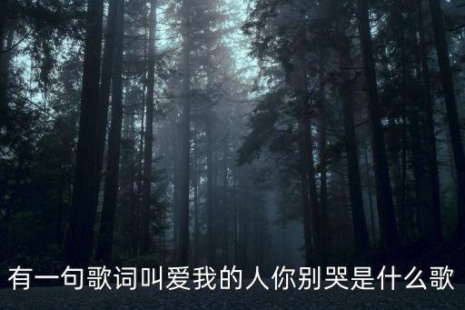 有一句歌詞叫愛我的人你別哭是什么歌