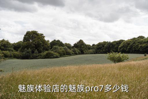 魅族pro7，魅族體驗店的魅族pro7多少錢