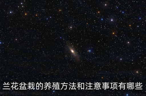 蘭花盆栽的養(yǎng)殖方法和注意事項有哪些