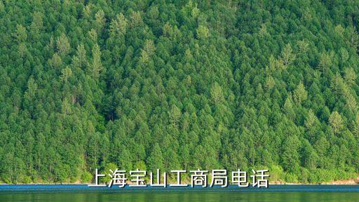 上海市寶山區辦工商所，上海寶山月浦工商所在哪