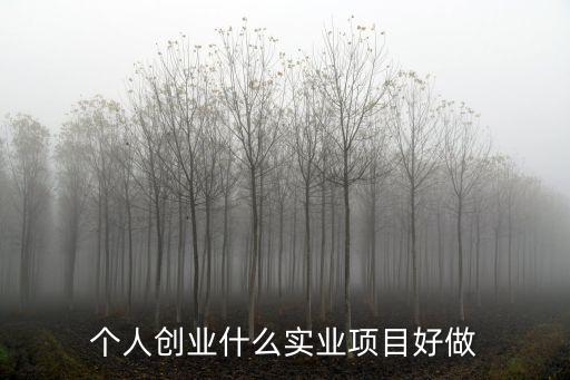 個人創業什么實業項目好做
