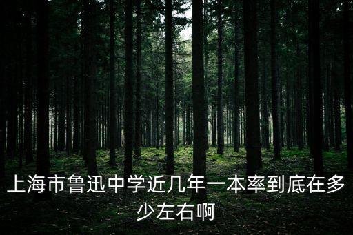 上海市魯迅中學近幾年一本率到底在多少左右啊