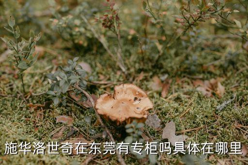 stokke東莞有嗎，歐米茄手表東莞有賣的嗎