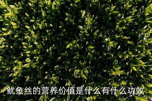 魷魚絲的營養價值是什么有什么功效