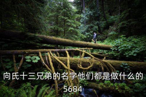向氏十三兄弟的名字他們都是做什么的5684