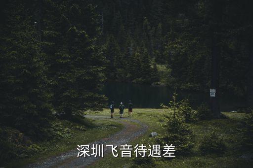 張東明,深圳殷飛科技有限公司申請破產(chǎn)