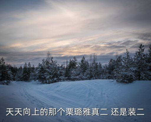 天天向上的那個栗璐雅真二 還是裝二