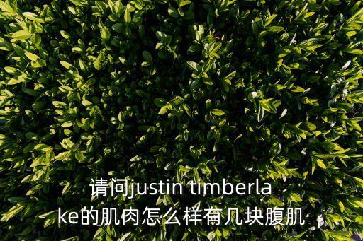 c羅腹肌，C羅有幾塊腹肌