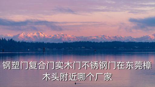 鋼塑門復合門實木門不銹鋼門在東莞樟木頭附近哪個廠家