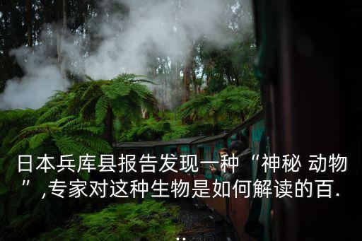 日本兵庫縣報告發現一種“神秘 動物”,專家對這種生物是如何解讀的百...
