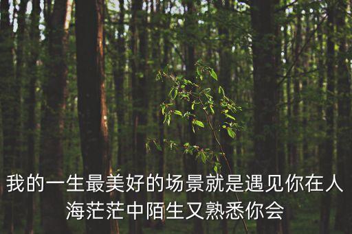 最美就是遇到你，我的一生最美好的場景就是遇見你在人海茫茫中陌生又熟悉你會