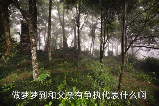 做夢(mèng)夢(mèng)到和父親有爭(zhēng)執(zhí)代表什么啊