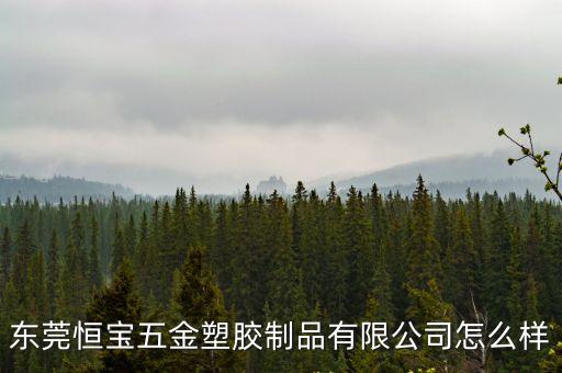 東莞恒寶五金塑膠制品有限公司怎么樣