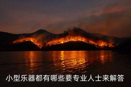 小型樂器都有哪些要專業人士來解答