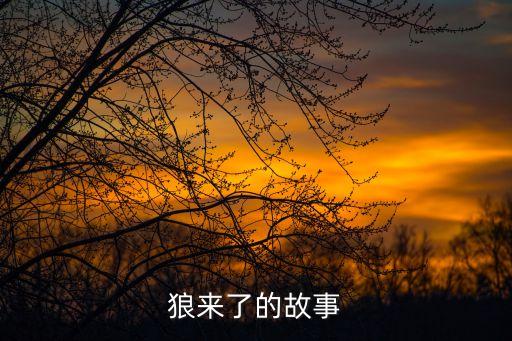 故事狼來(lái)了，狼來(lái)了的故事