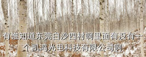 有誰知道東莞白沙四村啊里面有沒有一個凱鴻光電科技有限公司啊