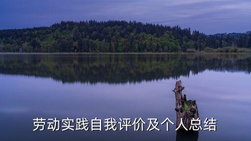 勞動(dòng)實(shí)踐個(gè)人總結(jié)，勞動(dòng)的心得體會(huì)