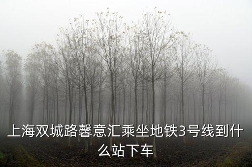 上海雙城路馨意匯乘坐地鐵3號線到什么站下車
