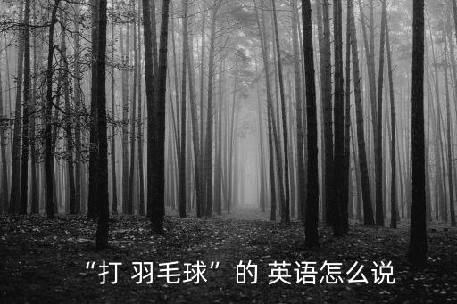 羽毛球英語,我和你一樣希望擁有羽毛球夢想
