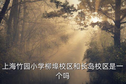 上海竹園小學(xué)柳埠校區(qū)和長(zhǎng)島校區(qū)是一個(gè)嗎