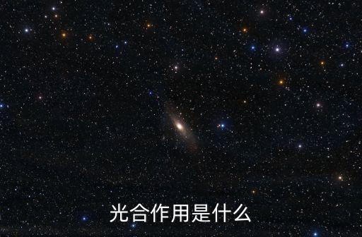 光合作用是什么
