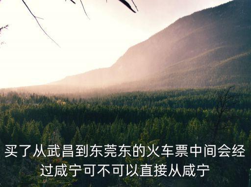 買了從武昌到東莞東的火車票中間會經過咸寧可不可以直接從咸寧