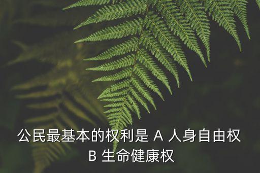 公民最基本的權利是 A 人身自由權 B 生命健康權