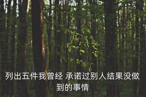 曾經的承諾,承諾不再現身影中國男歌手