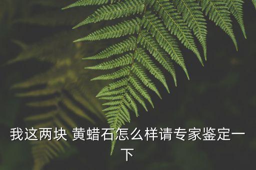 我這兩塊 黃蠟石怎么樣請專家鑒定一下