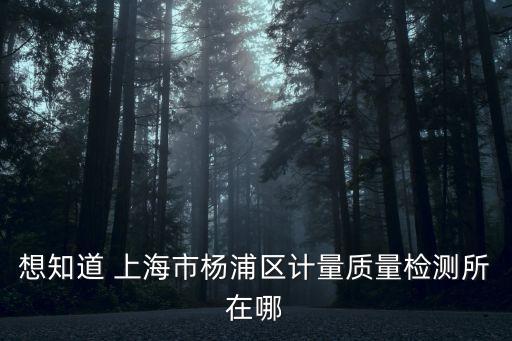 想知道 上海市楊浦區計量質量檢測所在哪