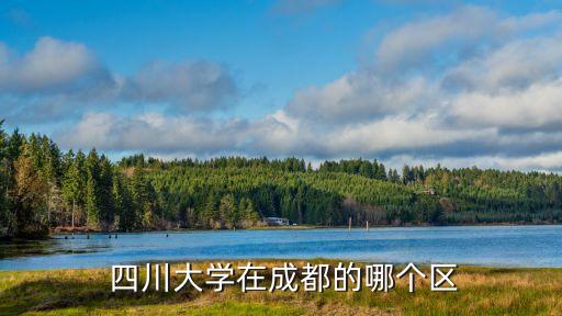 四川大學(xué),四川大學(xué)師生云集學(xué)科門類齊全