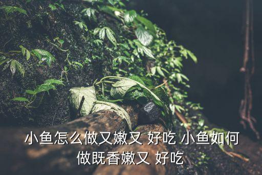 小魚怎么做好吃,這些小魚的做法!
