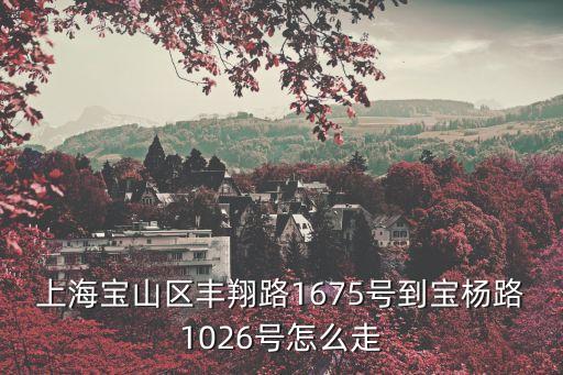 上海寶山區豐翔路1675號到寶楊路1026號怎么走