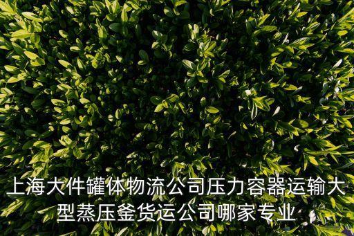 上海大件罐體物流公司壓力容器運輸大型蒸壓釜貨運公司哪家專業