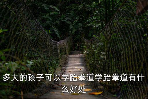 多大的孩子可以學跆拳道學跆拳道有什么好處