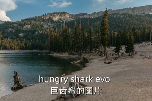 hungry shark evo 巨齒鯊的圖片