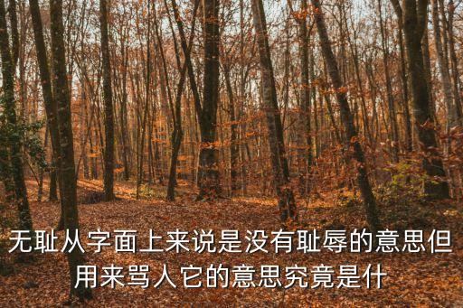 無恥從字面上來說是沒有恥辱的意思但用來罵人它的意思究竟是什