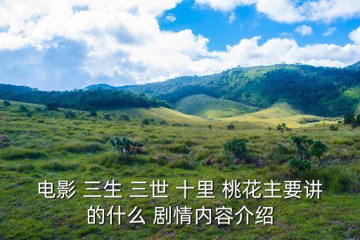 電影 三生 三世 十里 桃花主要講的什么 劇情內容介紹