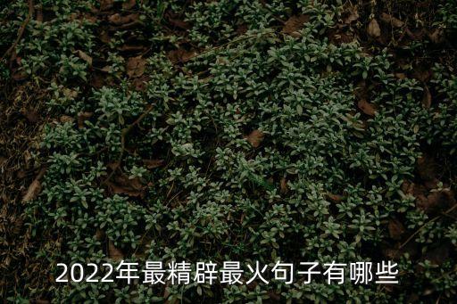 網紅句子，現在最熱門的句子