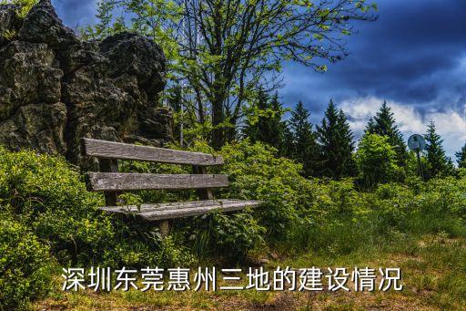 中國鐵建大橋局東莞項目，深圳東莞惠州三地的建設情況