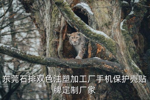 東莞石排雙色注塑加工廠手機保護殼貼牌定制廠家
